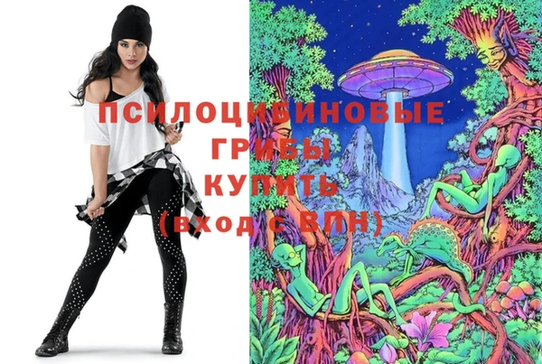 метадон Алексеевка