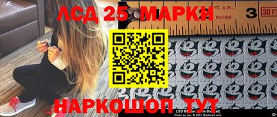 индика Аргун
