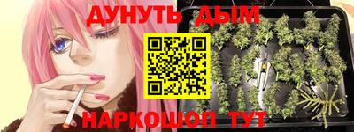 a pvp Апшеронск